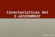 Características del E-Government