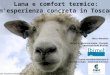 Lana e Comfort Termico: un esperienza concreta in Toscana