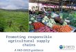 Promoting Responsible Agricultural Supply Chains â€“ Coralie David, OECD & FAO