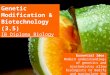 IB Biology 3.5 Slides: Genetic Modification & Biotechnology