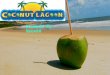 Coconut lagoon - Best MultiCuisine Restaurant In Thane