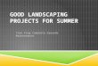 Summer Landscaping Tips