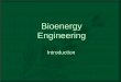 Bioenergy engineering program