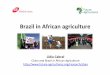 Brazil in African agriculture - Lídia Cabral