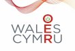 OER Wales Cymru Project : A Collaboration to embed Open Educational Resources and Practice in the HE Sector in Wales (Paddling, getting wet and aiming to catch the good waves …)