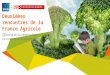 Deuxièmes rencontres de la France Agricole : Efficacité de la création dans un contexte de digitalisation