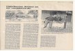 Osdorfer Zeitung 1991 Bericht über die von Nils Peter Sieger  restaurierte alte Bauernkate in Hamburg Nienstedten