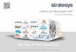 Stratesys - Brochure Corporativo - HOR cl - JUN2015 ESP