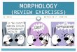 Morphology review-exercises-for-midterm1