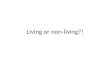 Living or non living