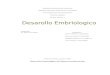 Desarrollo embriológico del sistema nervioso