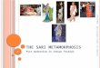 The sari metamorphosis
