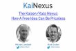 The Kaizen/Kata Nexus: How A Free Idea Can Be Priceless (KaiNexus Webinar)