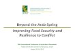 Beyond the Arab Srping: Improving Food Security and Resilience to Conflict