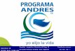 Programa Andres Institucional