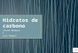Presentación de los Hidratos de carbono de Javier Marques y Luis Miguel