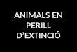 Animals en perill d’extinció