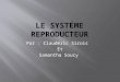 Le syst©me reproducteur   clauderic sirois 3