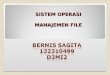 Bernis Sagita - Manajemen File
