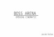 Boss Arena - Opening Cinematic Storyboards
