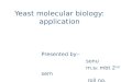 yeast molecular biology