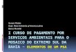 PES COURSE - PORTO SEGURO (PES elements / GUNARS PLATAIS)