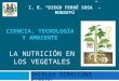 Nutricion en los vegetales