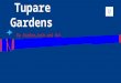 Tupare gardens virtual tour show