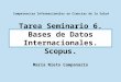 Tarea Seminario 6. Bases de Datos Internacionales. Scopus