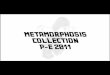 Metamorphosis IFM 2009 Collection
