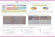 OncoPrime - Drug screening platform using patient derived cells - BREAST CANCER