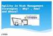 Agility in risk management strategies – why, how and where
