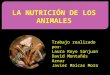 La nutrición de los animales, 2ºE Pablo Serrano