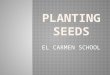 PLANTING SEEDS POWER POINT