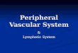 Class 6 peripheral vascular system.doc