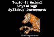 11 animal physiology syllabus statements