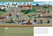 Eg Harvest Time