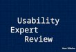 Usability Expert Review