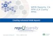 Rego University: WEBI Reports, CA PPM (CA Clarity PPM) + Jaspersoft