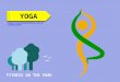 Hatha yoga classes adelaide â€“ the spirit of yoga