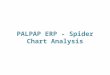 PALPAP ERP - Spider Chart Analysis