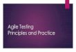 Agile testing practice