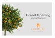 Naartjie Grand Opening Strategy
