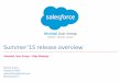 Salesforce Summer'15 release overview