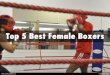 Peter Bouchard Maine - Top 5 Best Female Boxers
