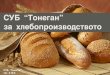 Софтуерна система за управление на производството и търговията с хляб и хлебни изделия