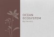 Ocean ecosystem summative