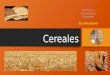 Cereales Por Elsy Mora