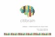 Workshop on Cyber-physical Systems Platforms - Rui Costa "Citibrain"