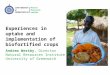 Experiences in uptake and implementation of biofortified crops